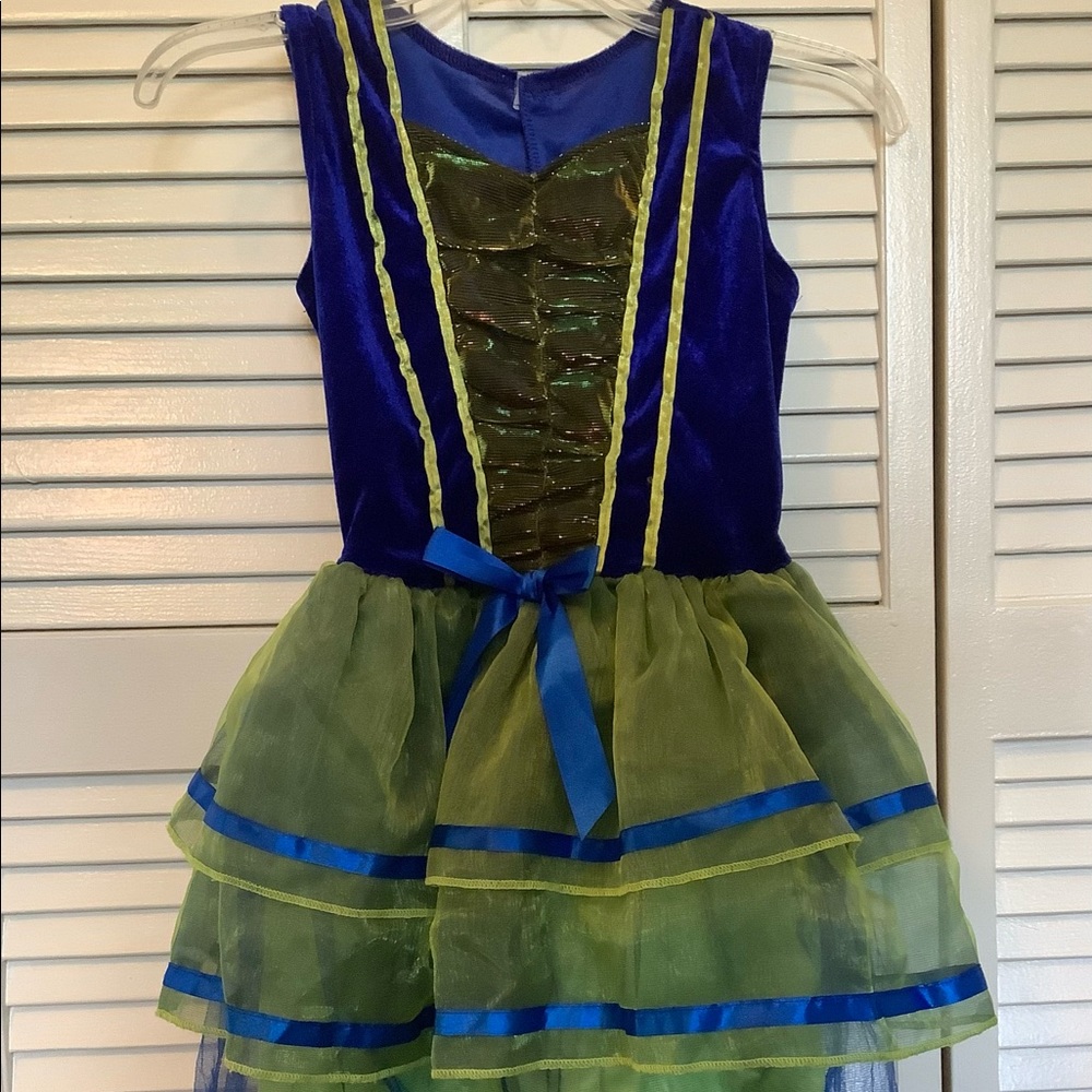 Costume Princess..Witch..